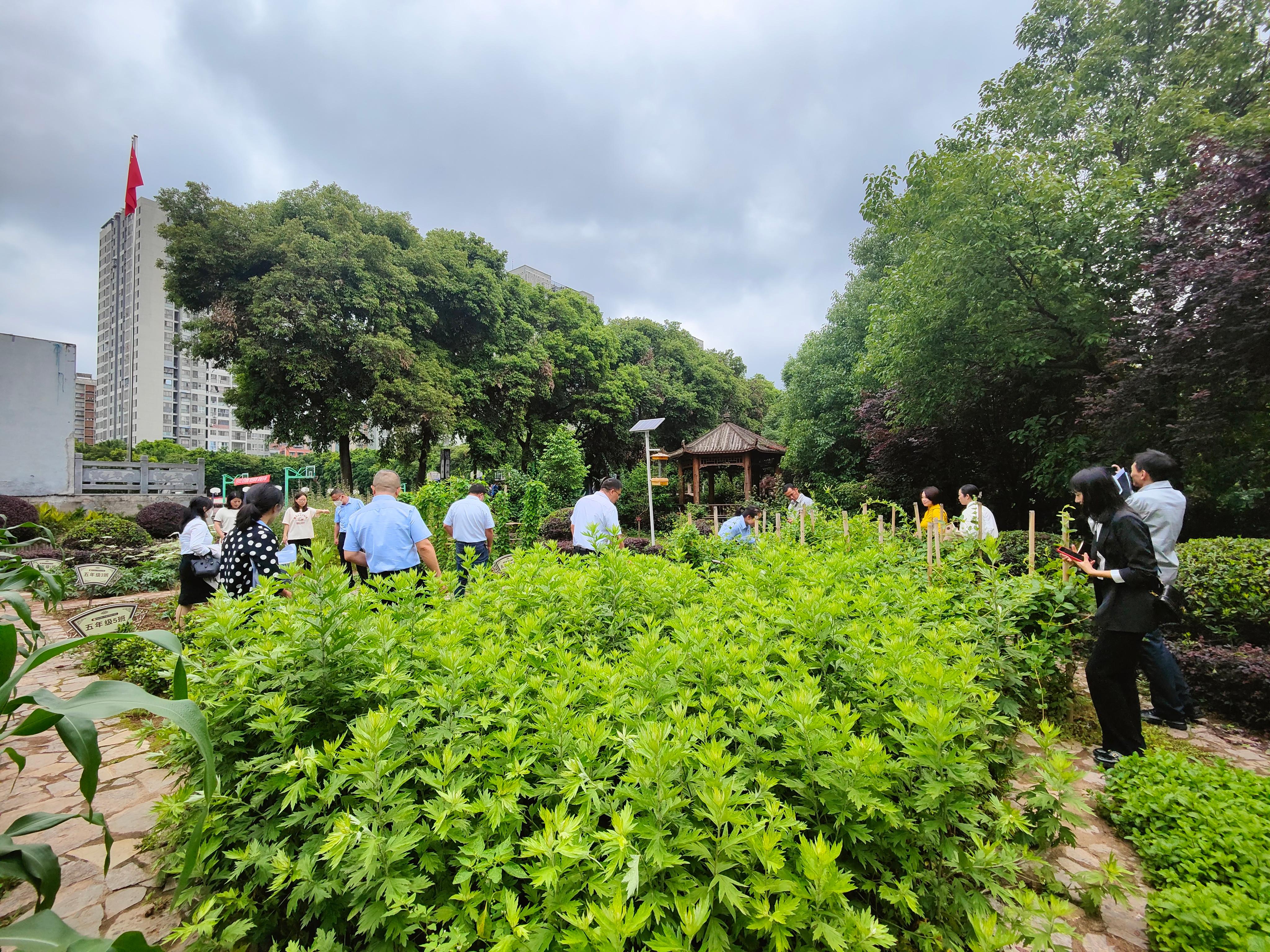 微信图片_20230510163959.jpg 微信图片_20230510163959.jpg