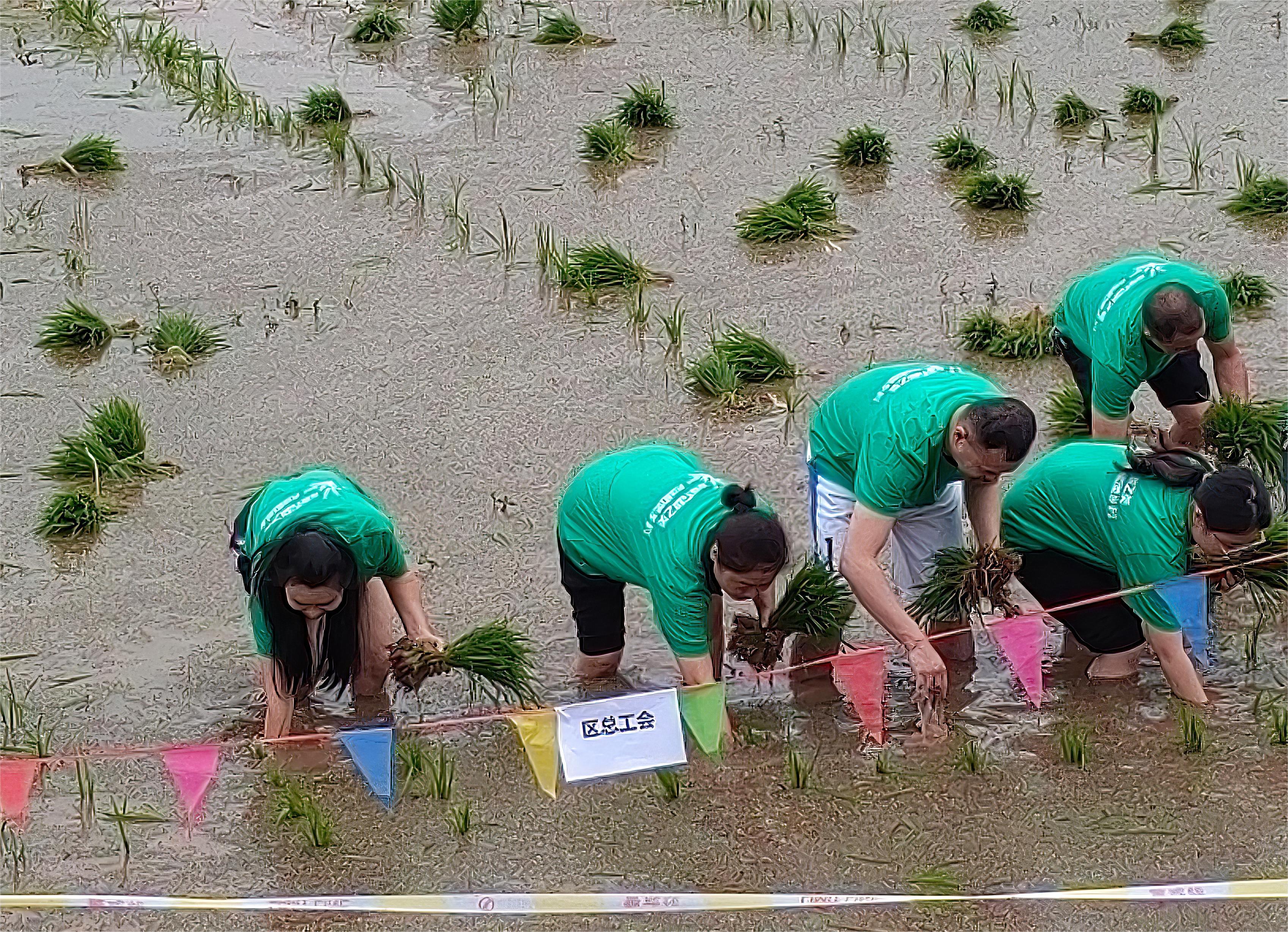 1fec91542638c4b7a5f3226620ad7ee.jpg 1fec91542638c4b7a5f3226620ad7ee.jpg