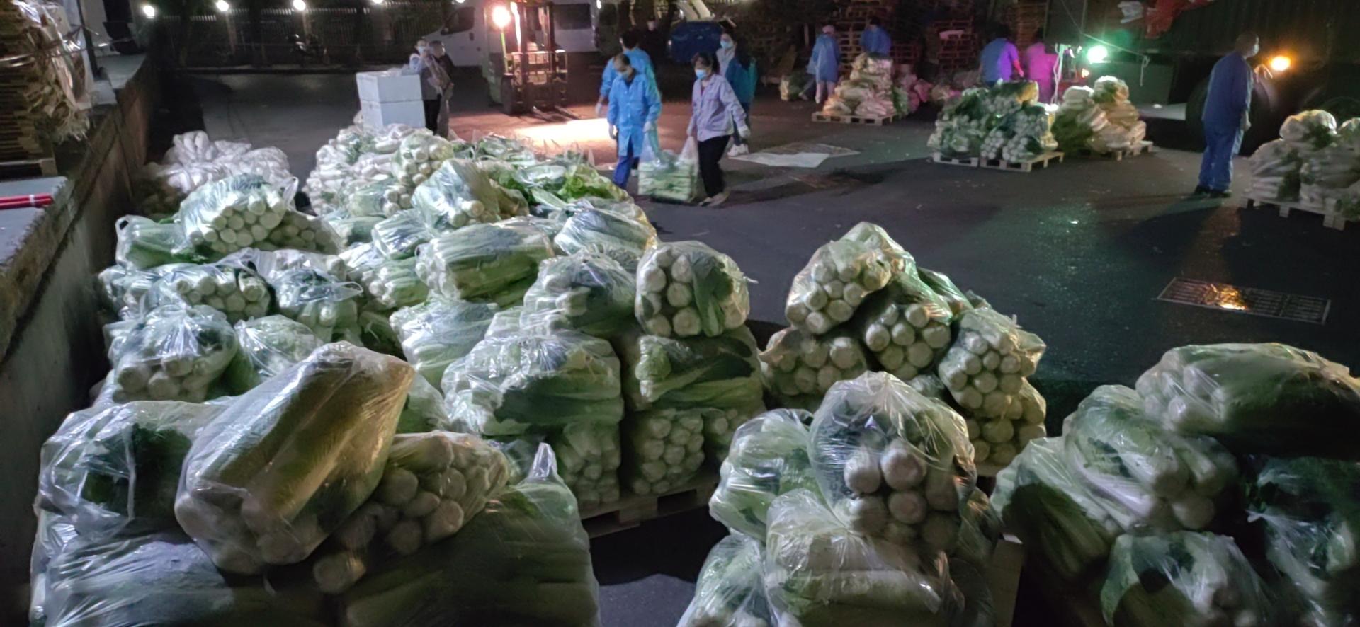 蔬菜打包装车.jpg 蔬菜打包装车.jpg