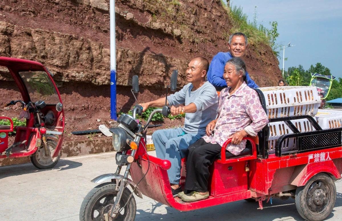 图片3.jpg 图片3.jpg