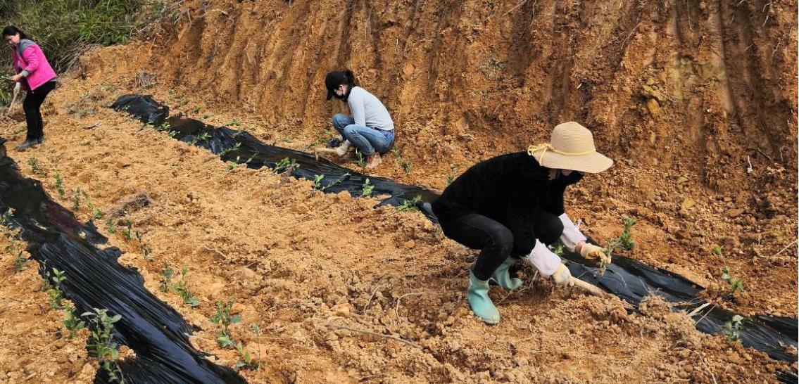 图片2.jpg 图片2.jpg