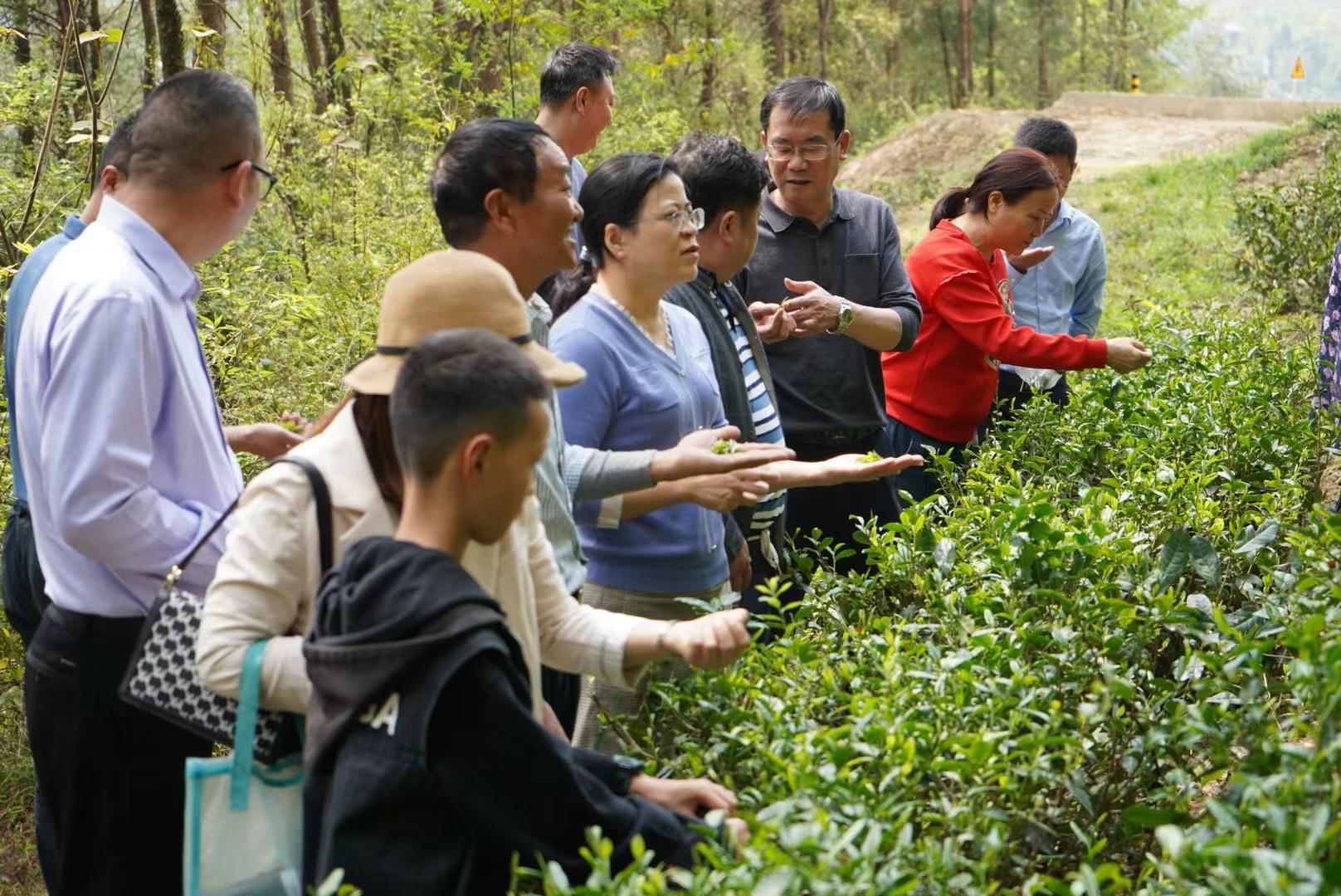 QQ图片20220330094458.jpg QQ图片20220330094458.jpg