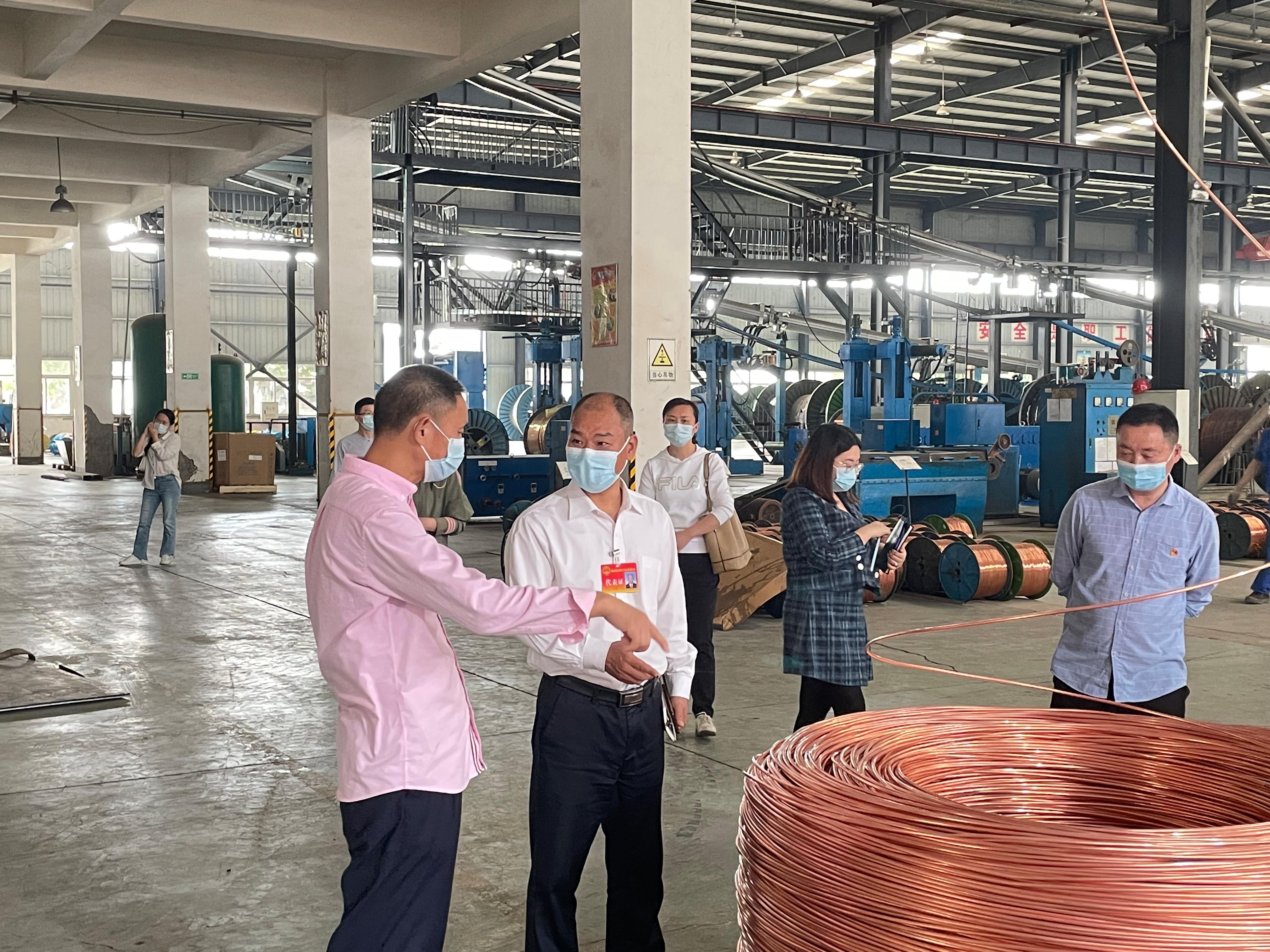 瑞普1.jpg 瑞普1.jpg