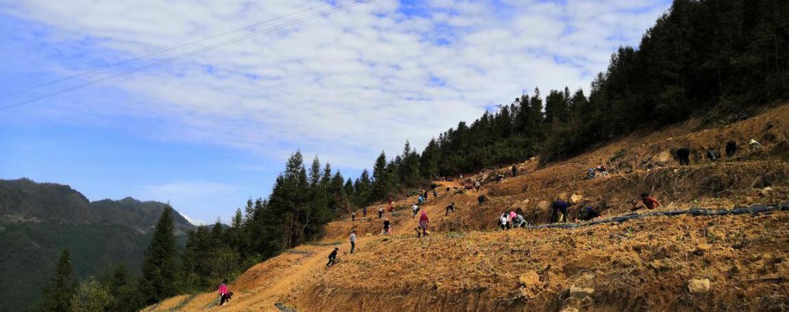 图片1.jpg 图片1.jpg