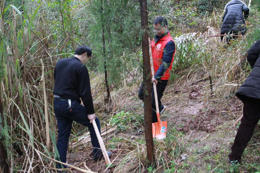 图片3.png 图片3.png