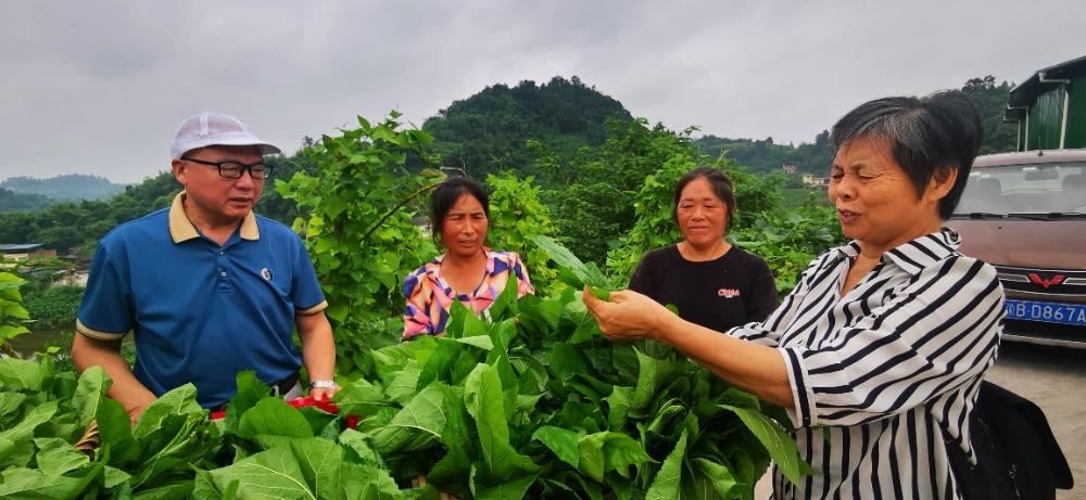 图片1.png 图片1.png