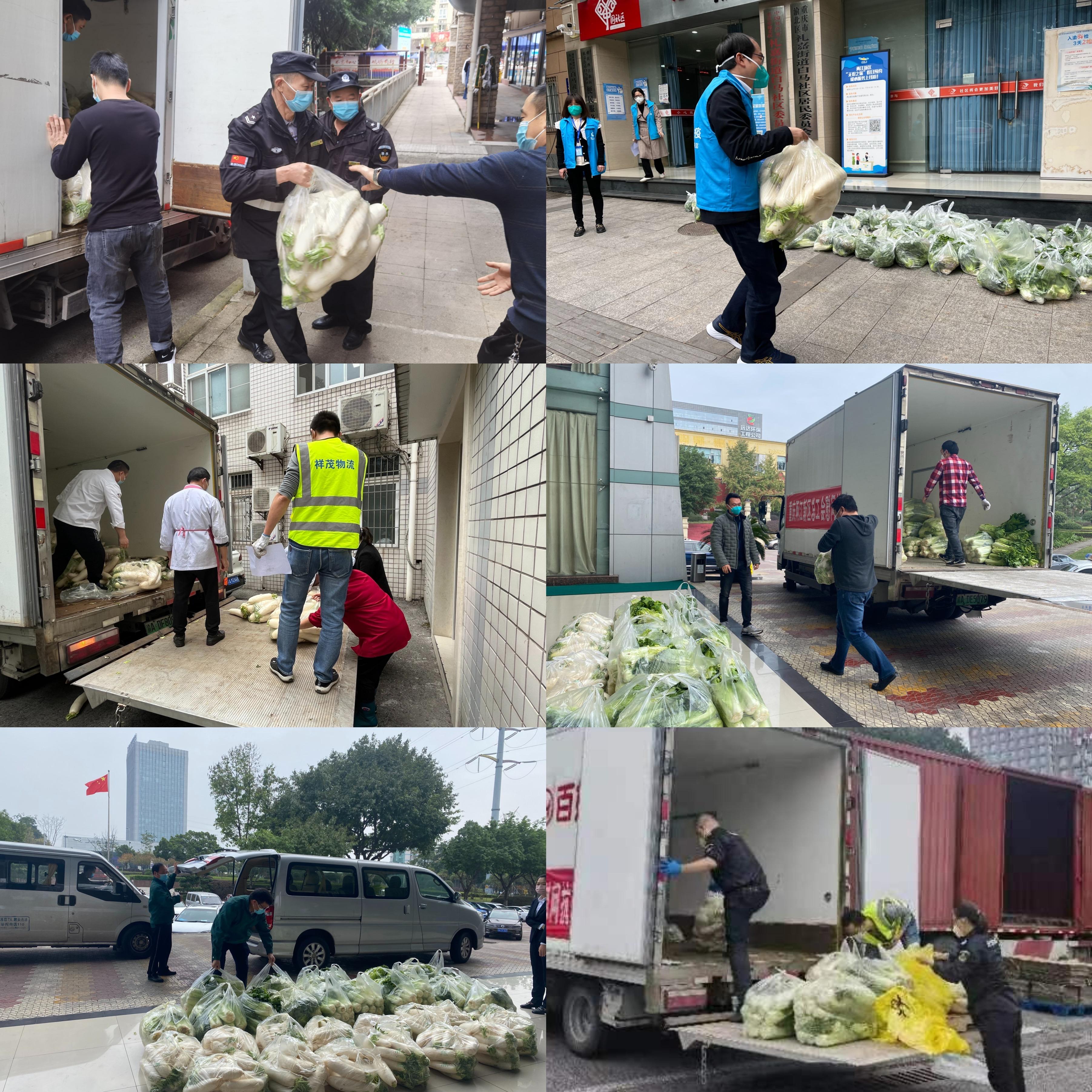 抗疫 基层单位收菜图片.jpg 抗疫 基层单位收菜图片.jpg