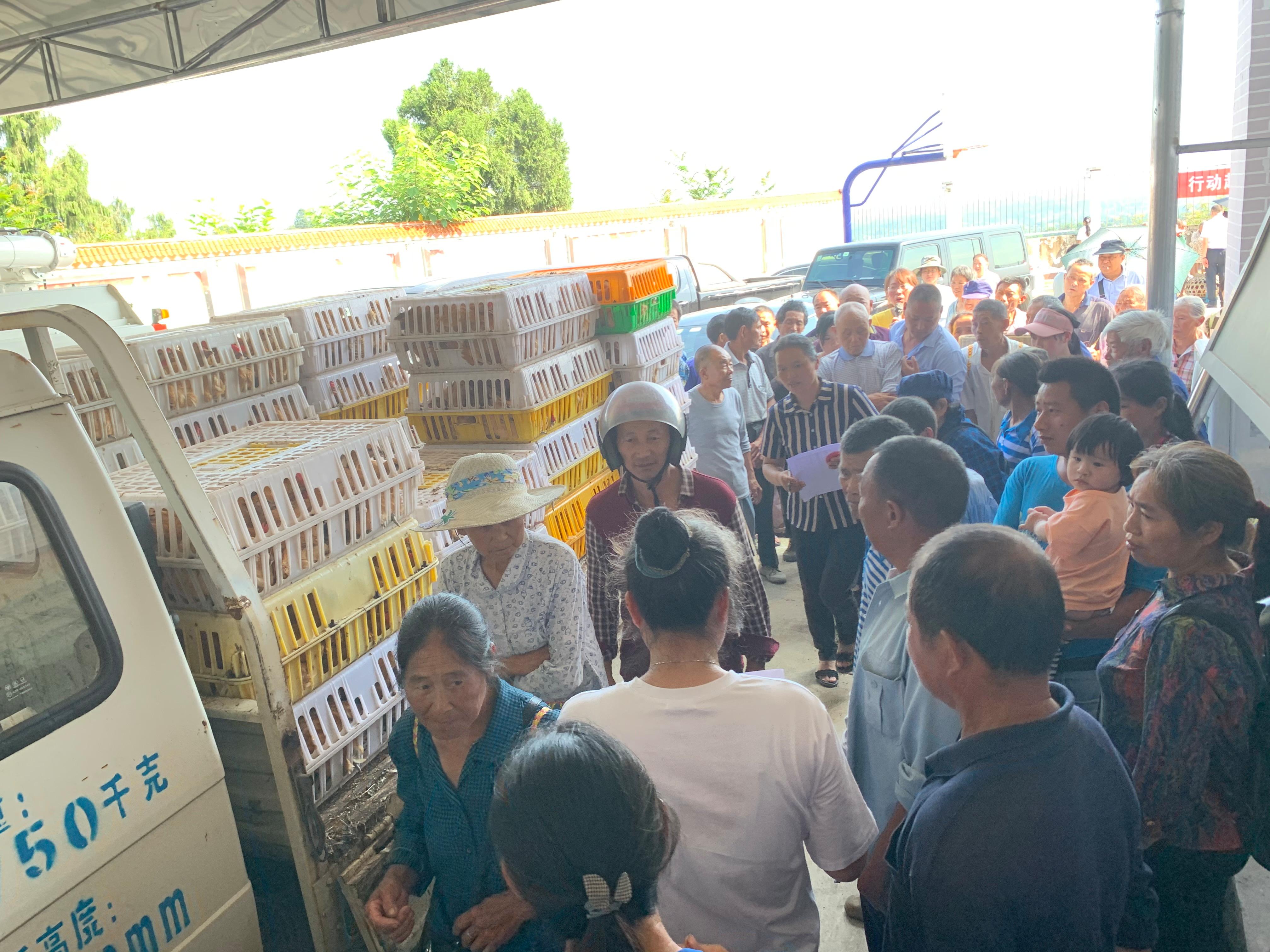 图片2.jpg 图片2.jpg