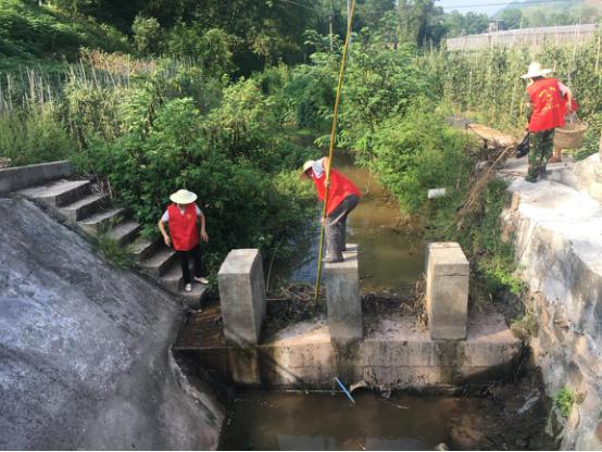 图片2.jpg 图片2.jpg