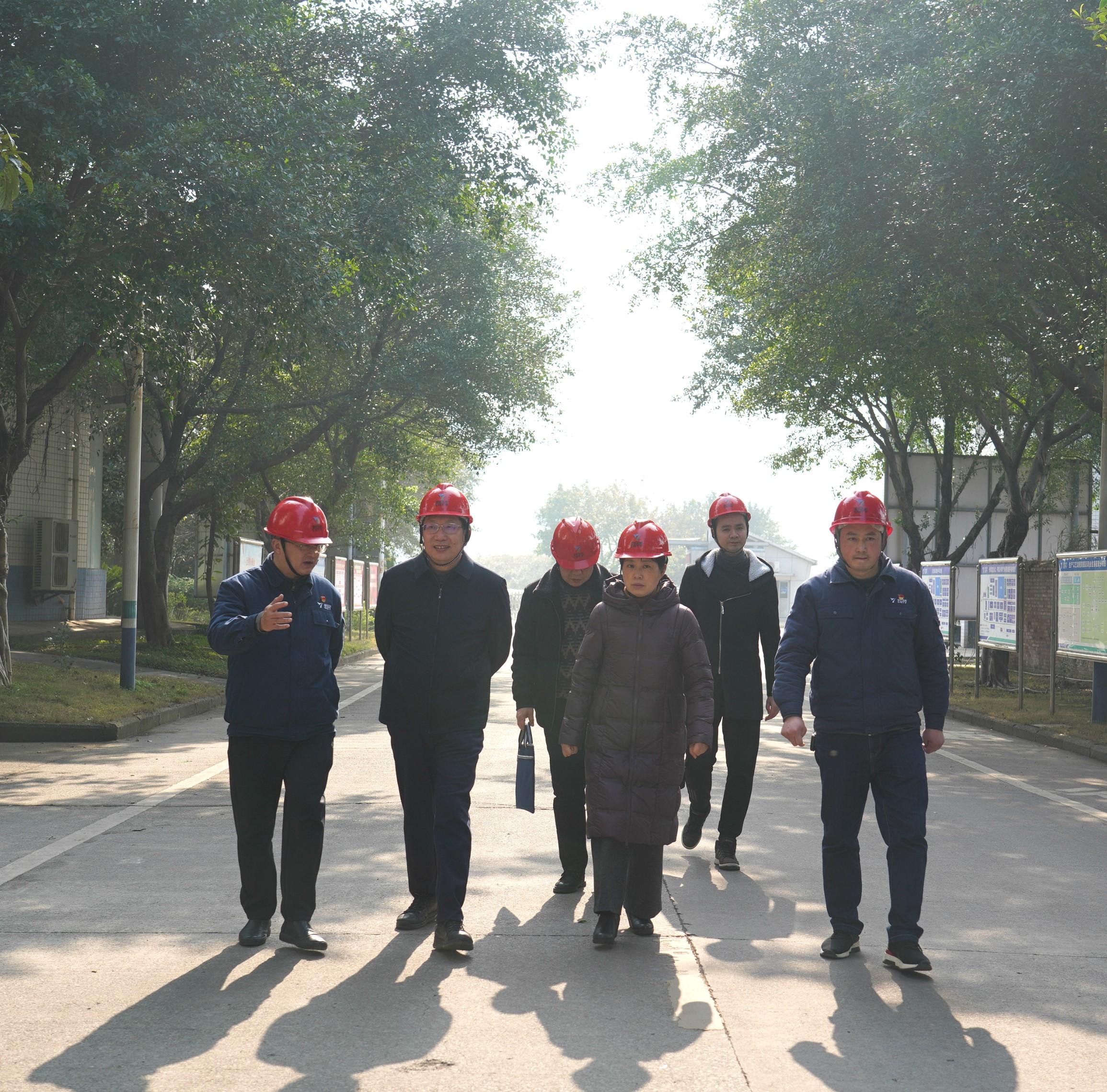 DSC05714_meitu_1.jpg DSC05714_meitu_1.jpg