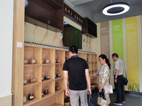 市总调研2.jpg 市总调研2.jpg