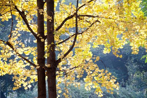 DSC_5608_副本.jpg DSC_5608_副本.jpg