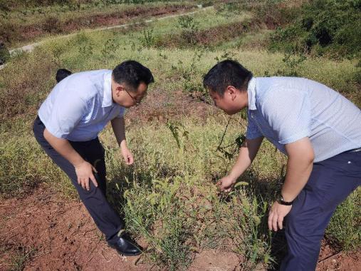 图片4(1).png 图片4(1).png