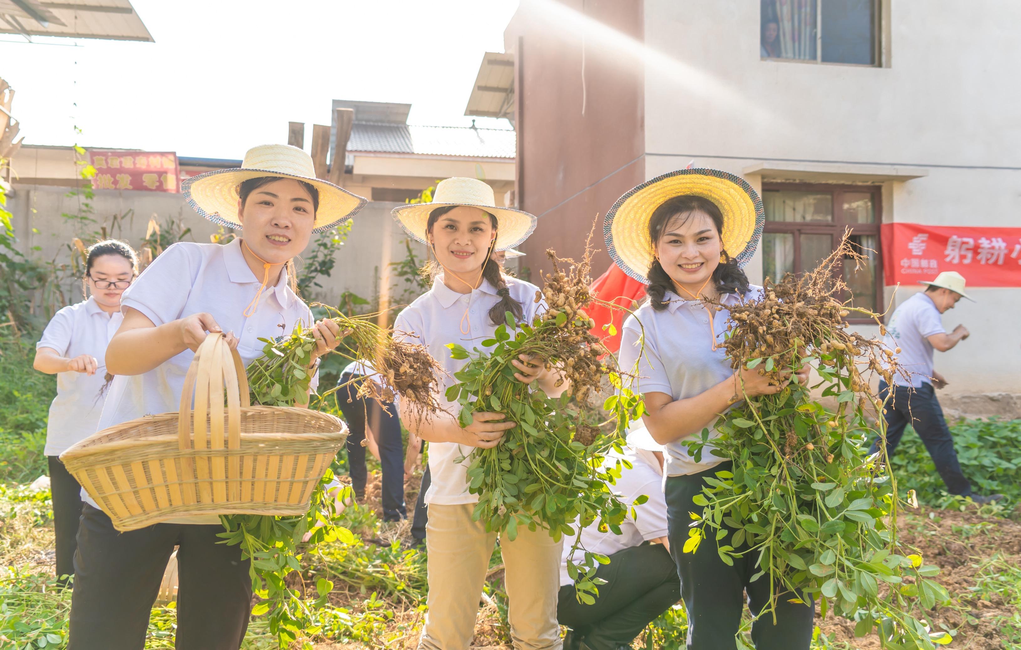 微信图片_20240927130612.jpg 微信图片_20240927130612.jpg