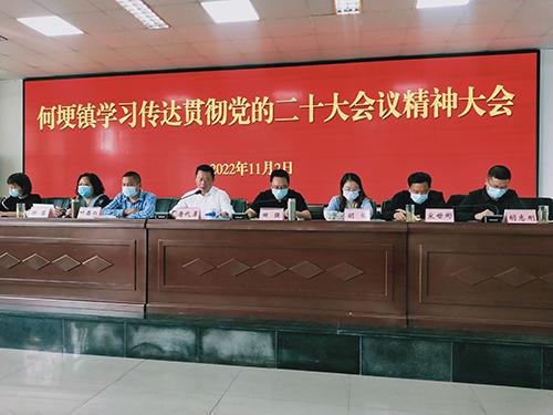 何埂镇500.jpg 何埂镇500.jpg