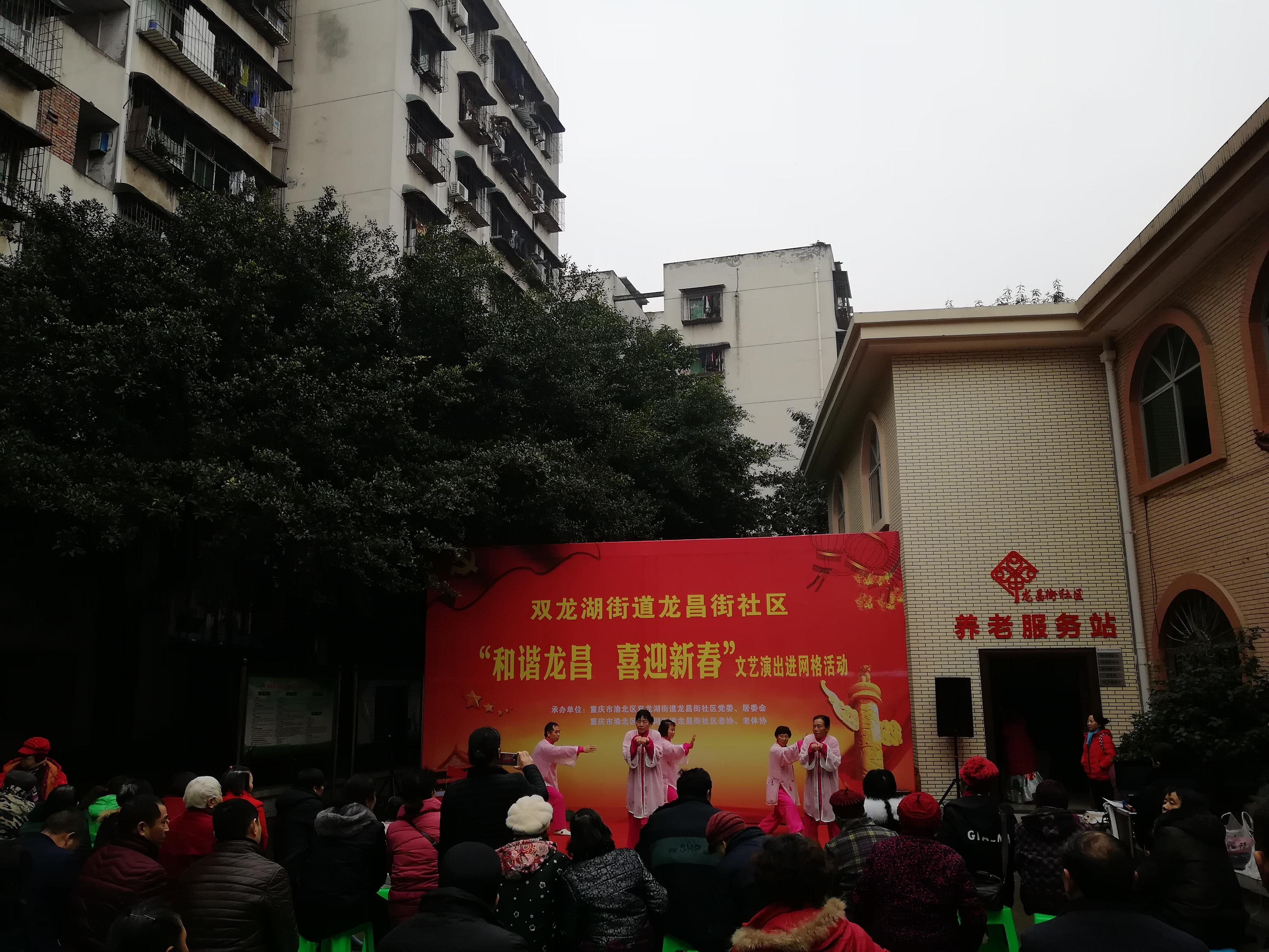 双龙湖街道迎春图片2.jpg 双龙湖街道迎春图片2.jpg