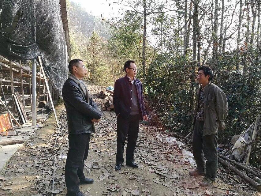 图片3.png 图片3.png