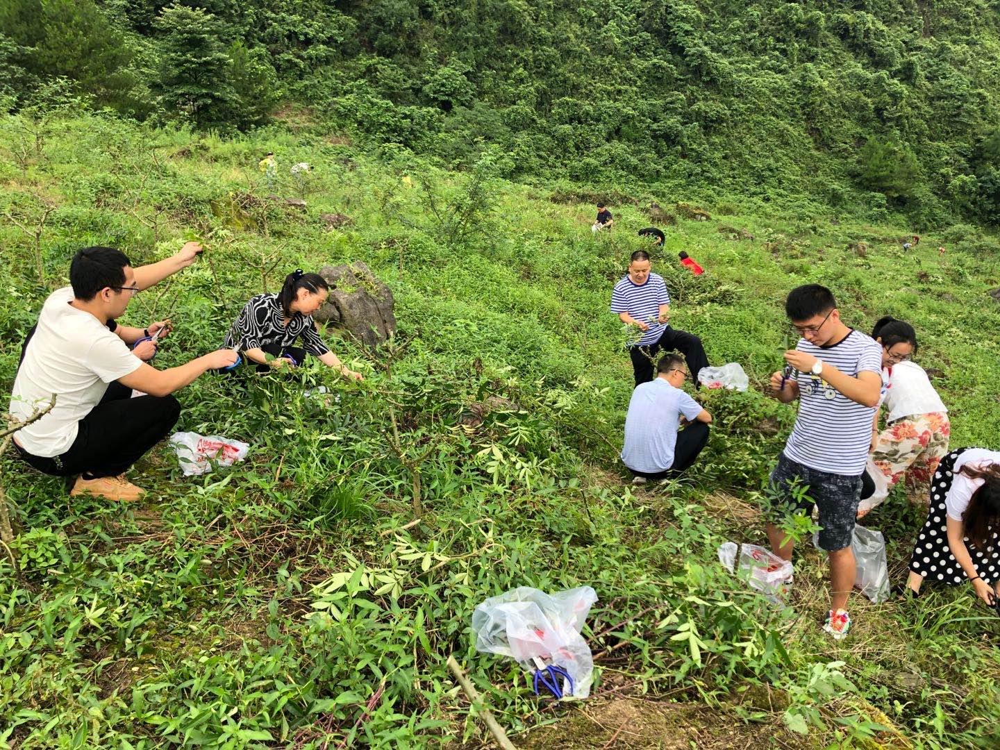 图片2.jpg 图片2.jpg