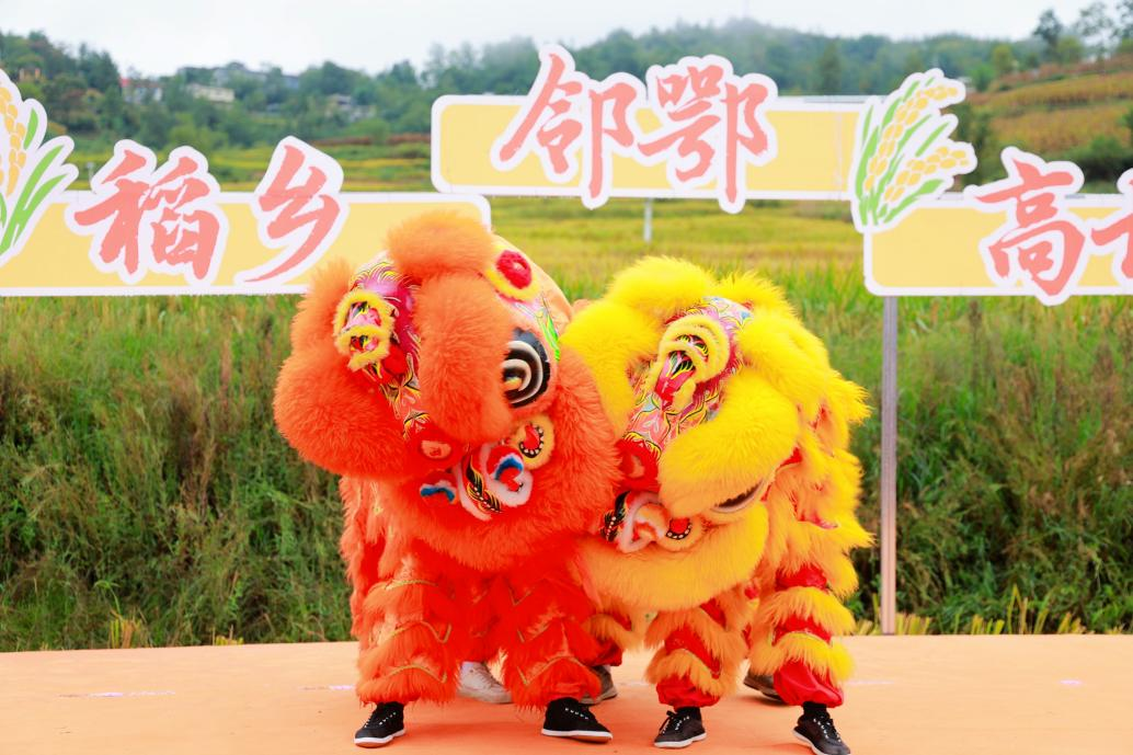 图片8