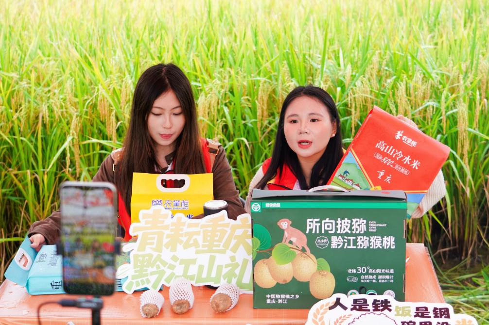 图片6
