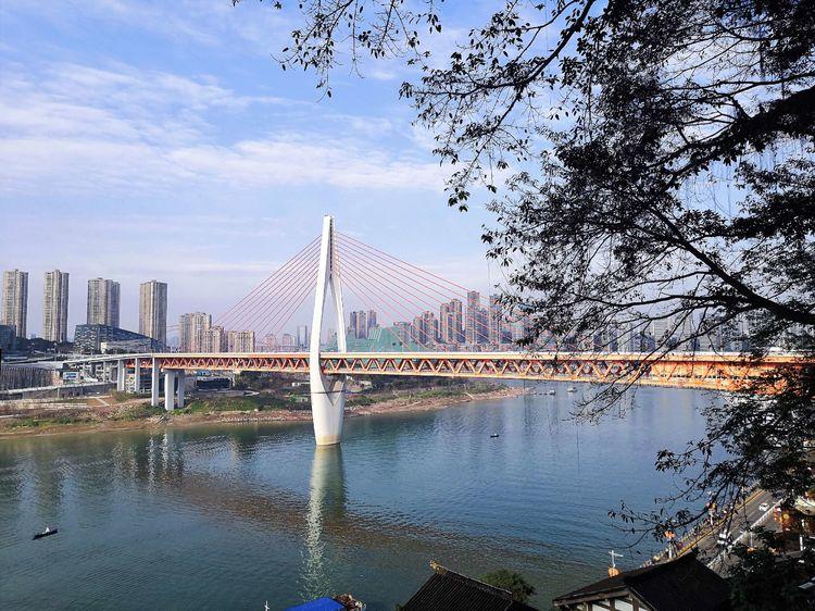 优秀奖10.jpg