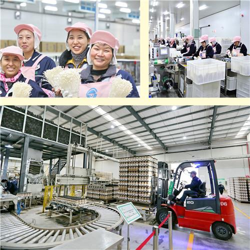 13劳动快乐  曹永龙 王泸州 摄.jpg