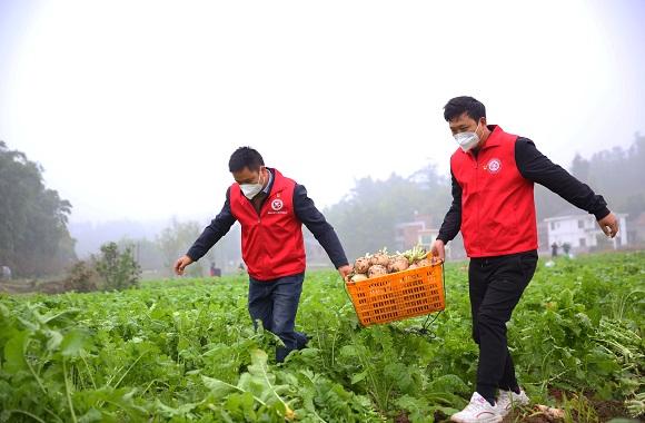 生命之光（优秀奖）    陈飞.jpg