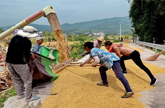 收获 （优秀奖）   薛牧沙 .JPG